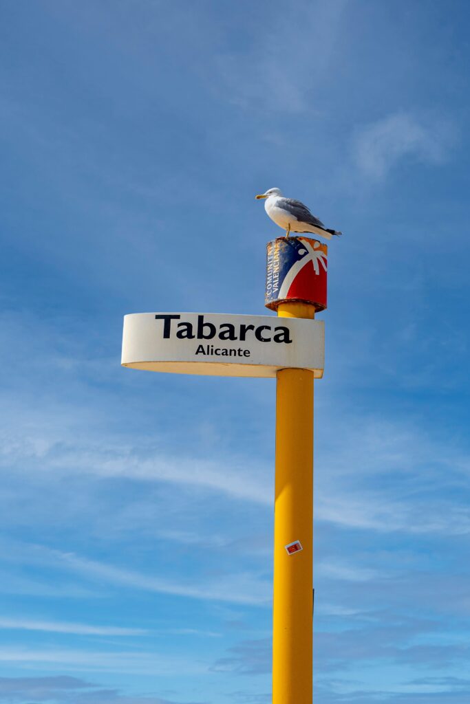 Tabarca Island